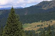 481-Passo Prislop,11 agosto 2011